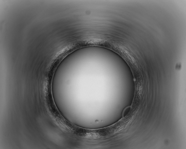 X0000099320591200805091043