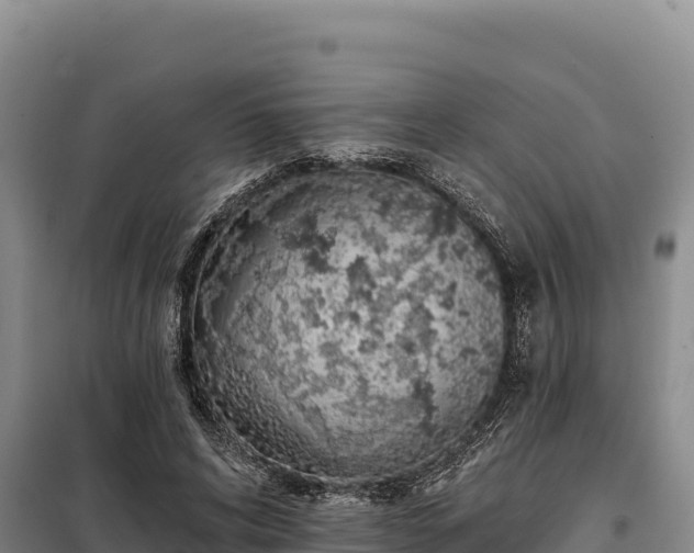 X0000099320592200805091043