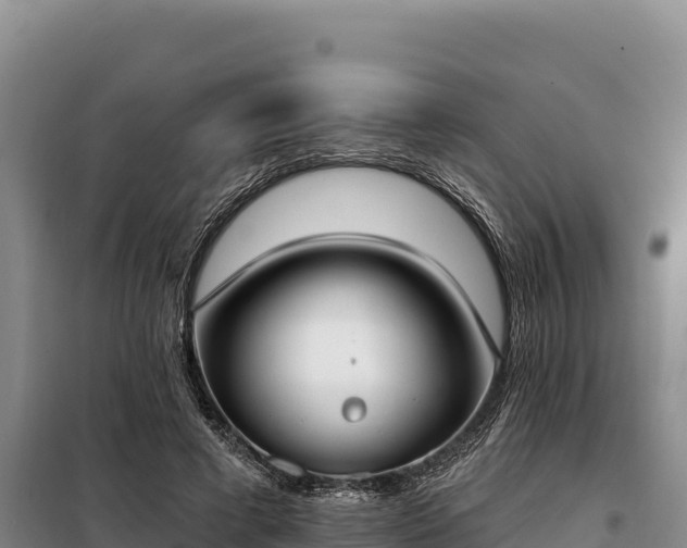 X0000099320593200805091043