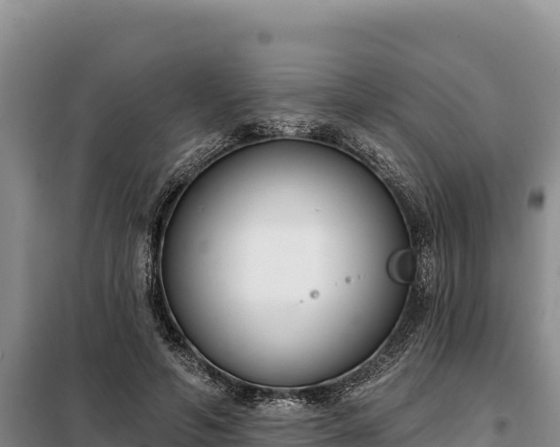 X0000099320594200805091043