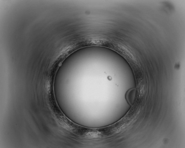 X0000099320595200805091043