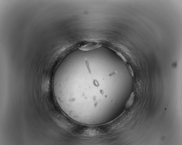 X0000099320596200805091043