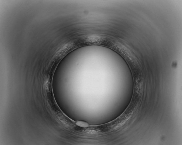 X0000099320597200805091043