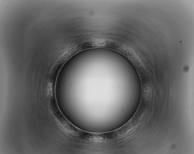 X0000099320598200805091043