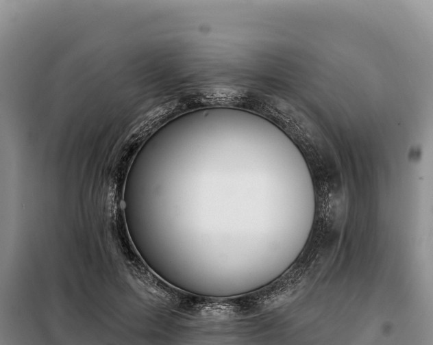 X0000099320599200805091043