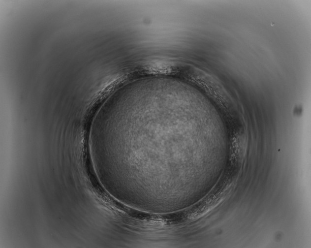 X0000099320600200805091043