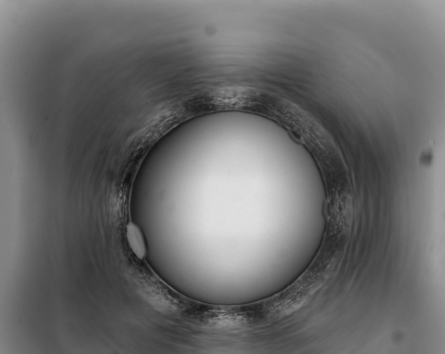 X0000099320601200805091043