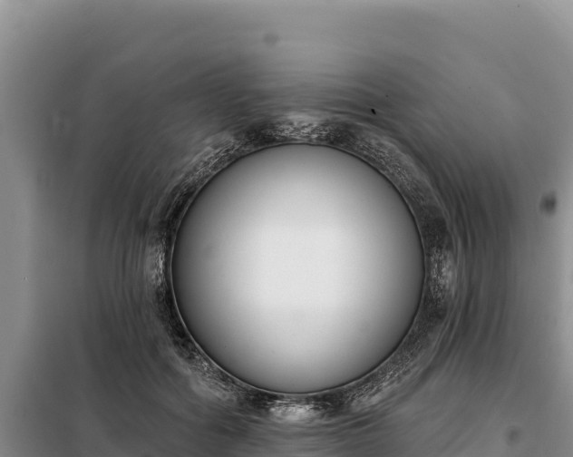 X0000099320602200805091043