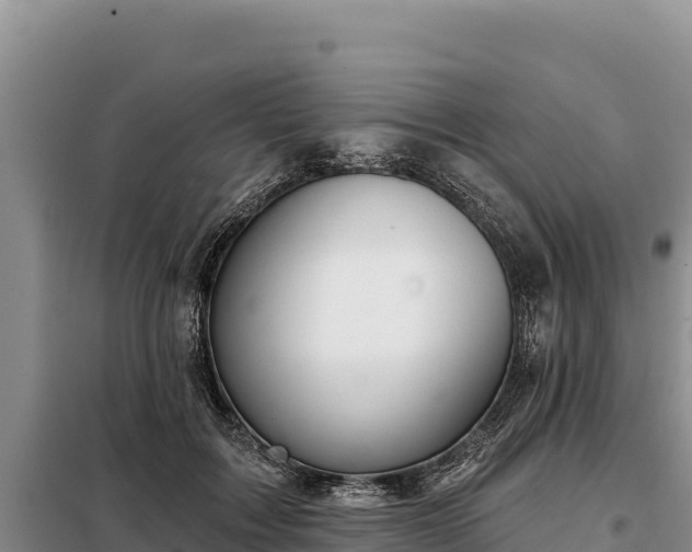 X0000099320603200805091043