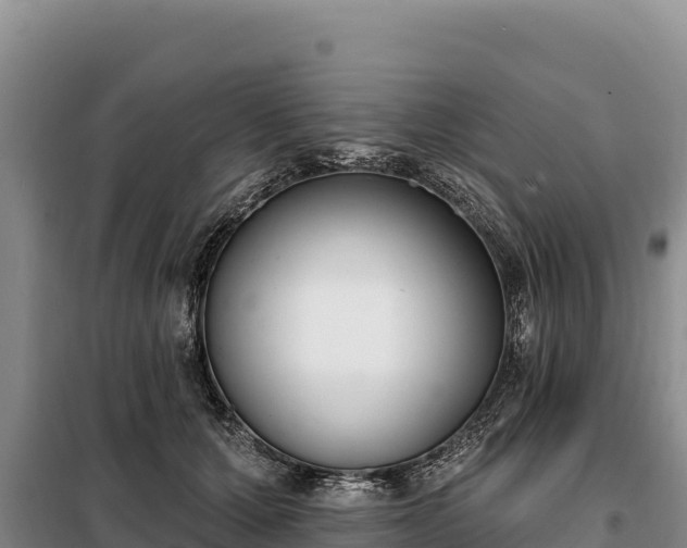 X0000099320607200805091043