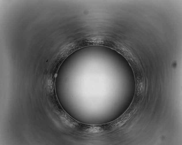 X0000099320609200805091043