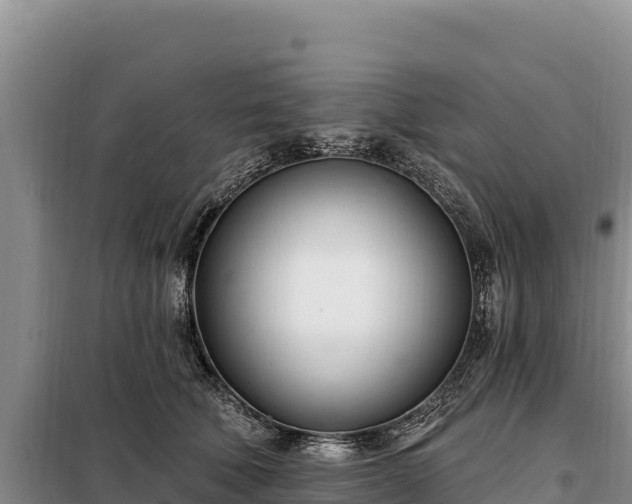 X0000099320610200805091043