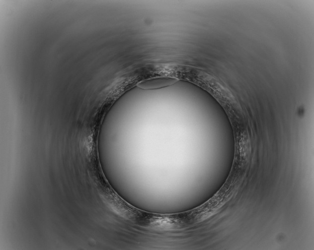 X0000099320611200805091043