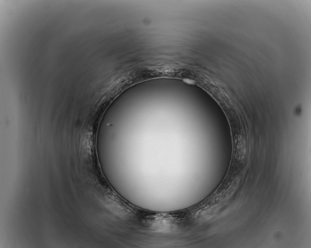 X0000099320612200805091043