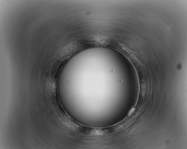 X0000099320613200805091043