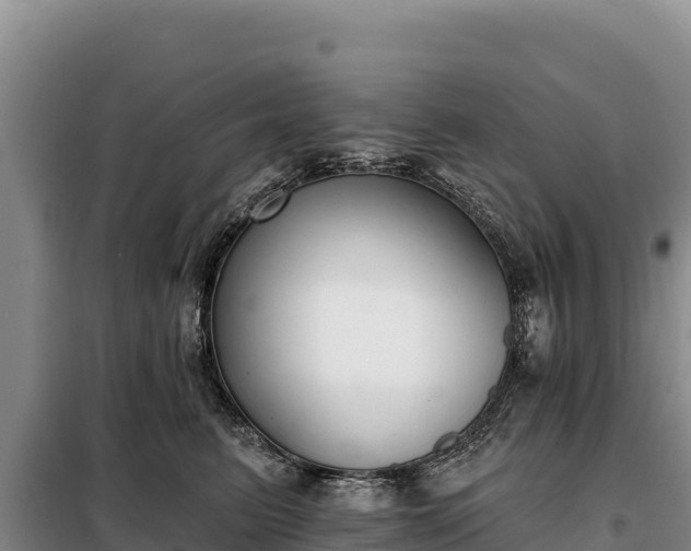 X0000099320615200805091043