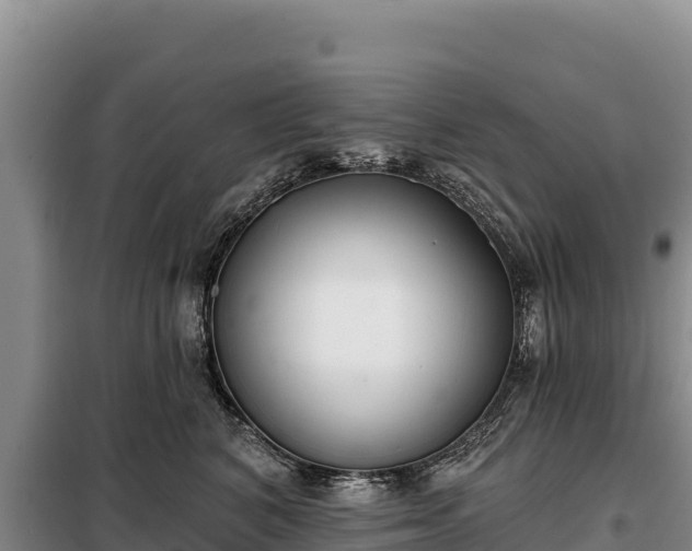 X0000099320616200805091043