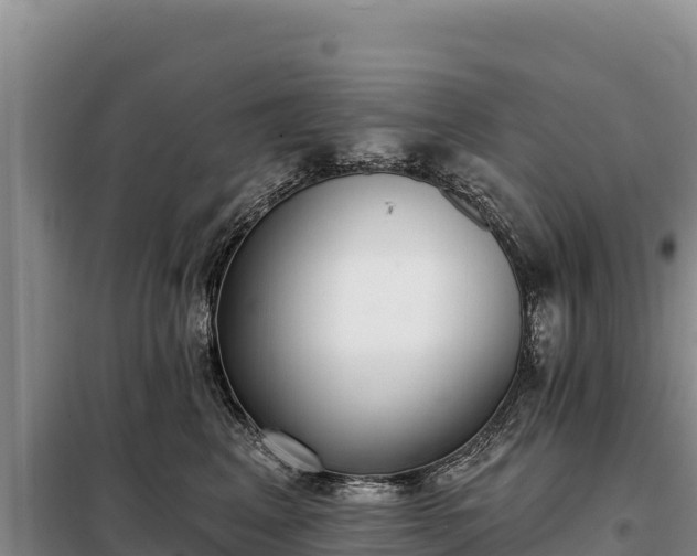 X0000099320617200805091043