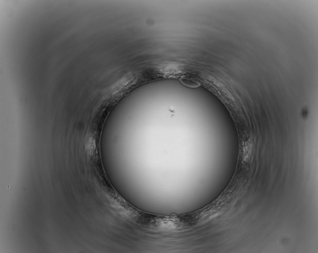 X0000099320618200805091043