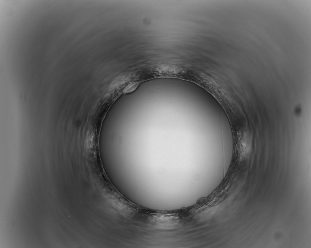 X0000099320619200805091043