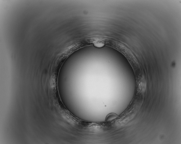 X0000099320620200805091043