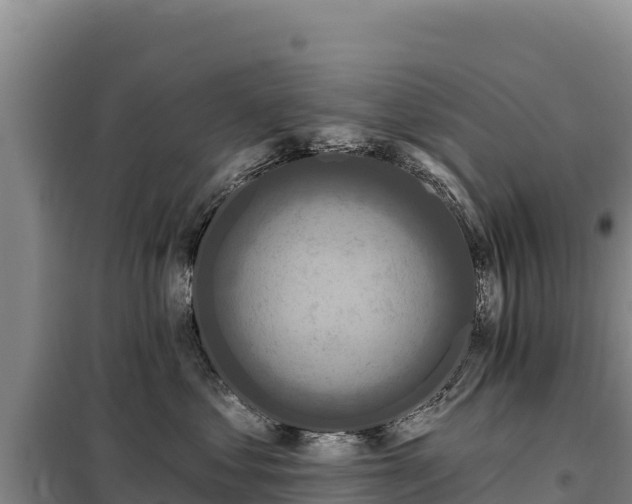 X0000099320621200805091043