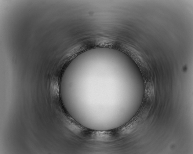 X0000099320622200805091043