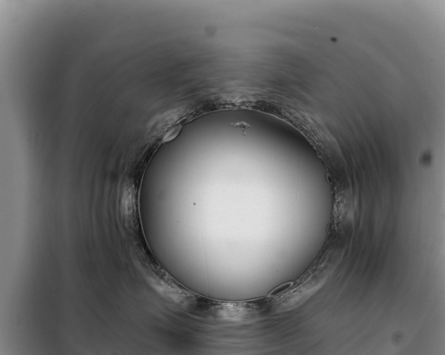 X0000099320623200805091043