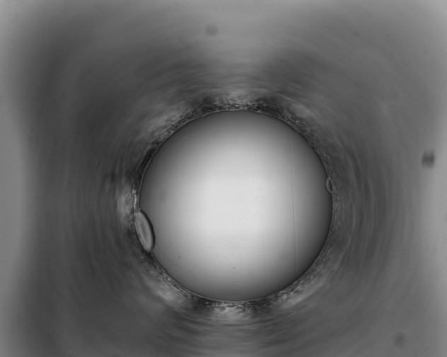 X0000099320624200805091043