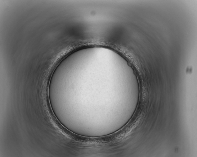 X0000099320625200805091042