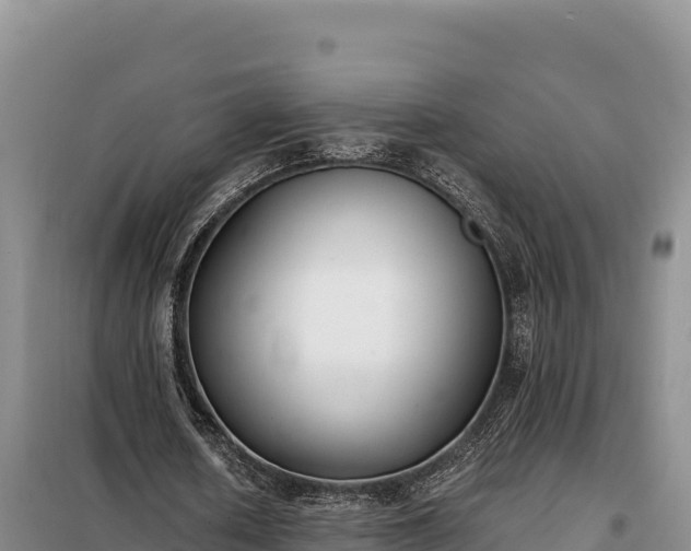 X0000099320626200805091042