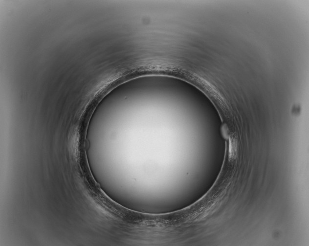 X0000099320627200805091042