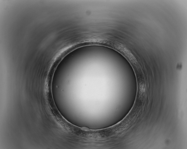 X0000099320628200805091042