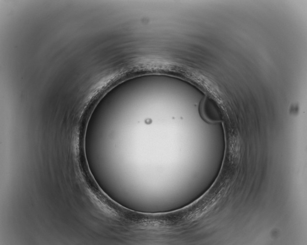 X0000099320629200805091042