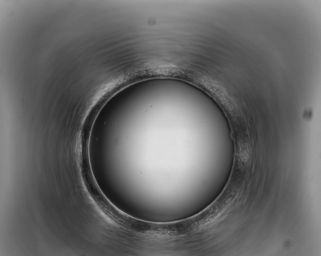 X0000099320630200805091042