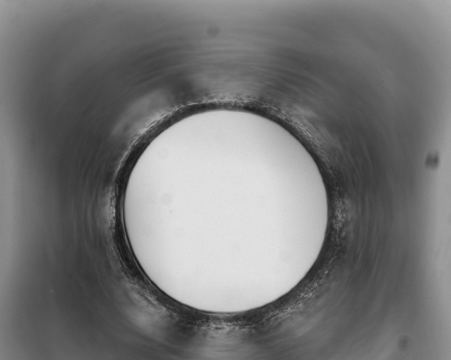 X0000099320632200805091042