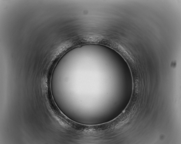 X0000099320634200805091042