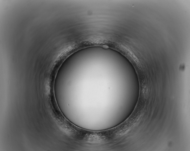 X0000099320635200805091042