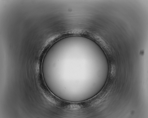 X0000099320636200805091042