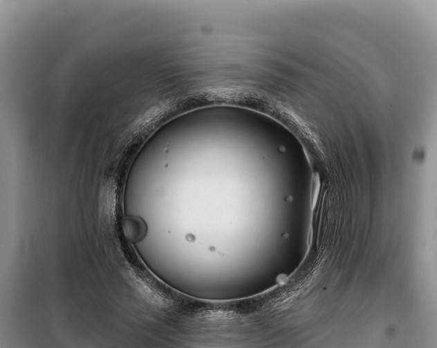 X0000099320637200805091042