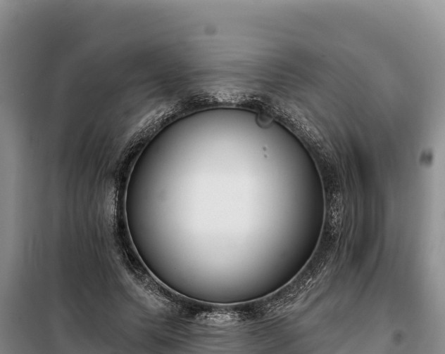 X0000099320639200805091042