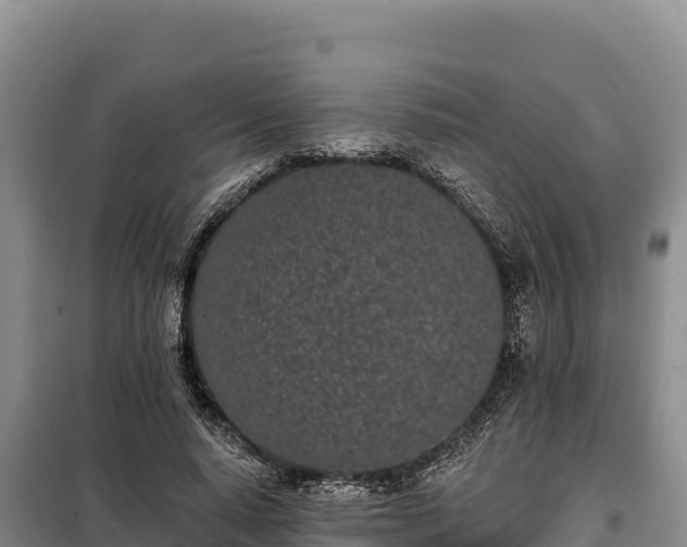 X0000099320640200805091042