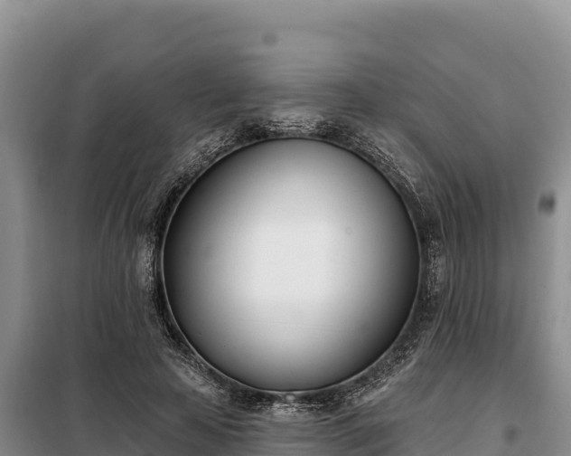 X0000099320641200805091042