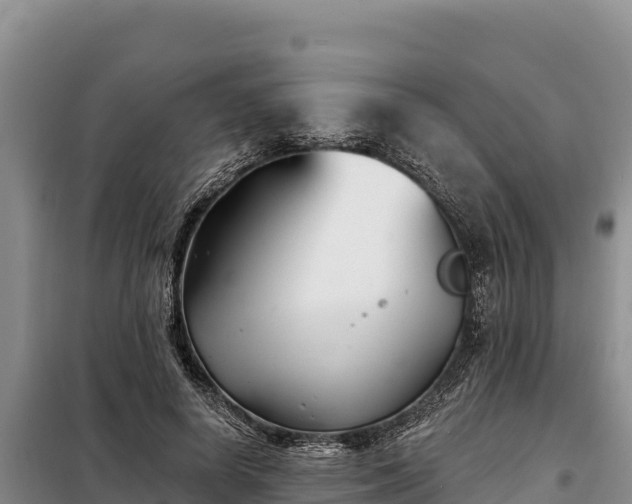 X0000099320642200805091042