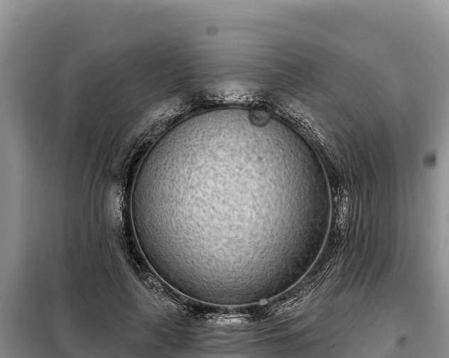 X0000099320643200805091042