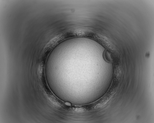 X0000099320645200805091042