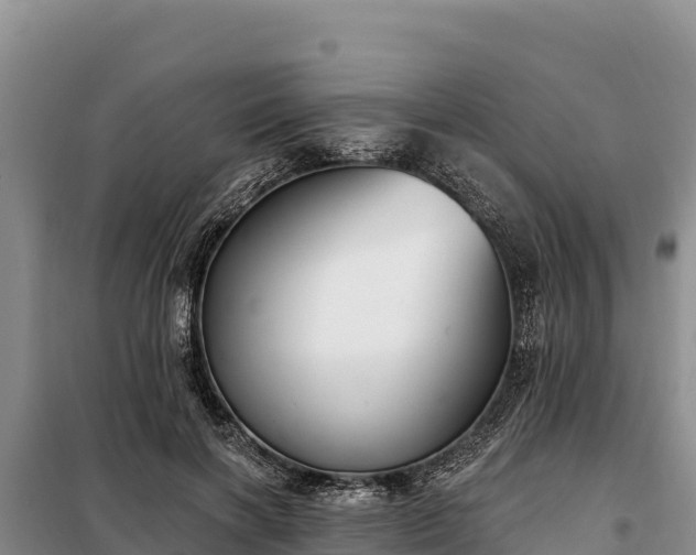 X0000099320646200805091042