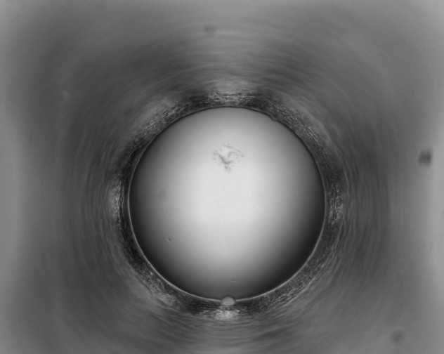 X0000099320647200805091042