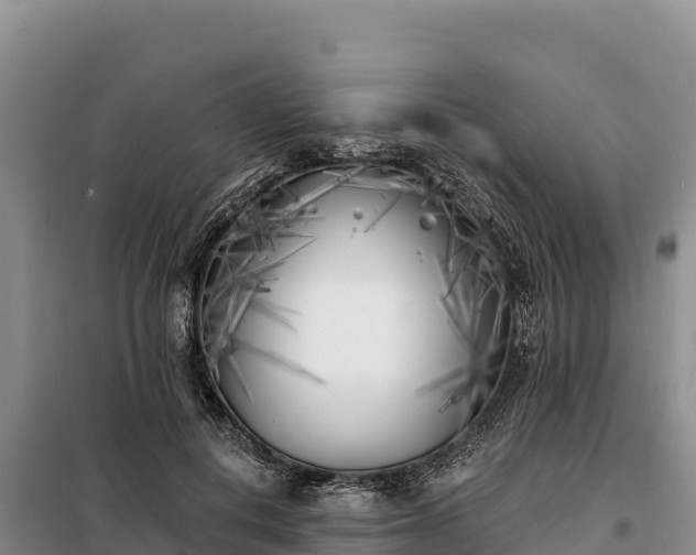 X0000099320648200805091042