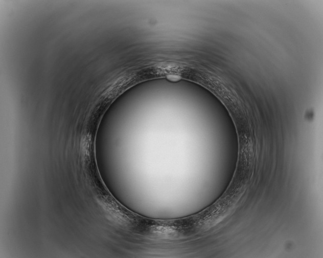 X0000099320649200805091042